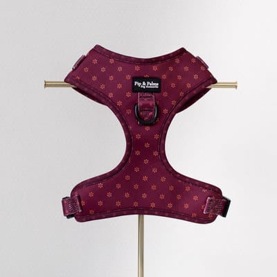 Pip & Palms - Hondenharnas Burgundy Best - Rood - Maat XXS - Hondentuig - Verstelbaar - Y Tuig Hond - Zachte Voering - voor Kleine honden