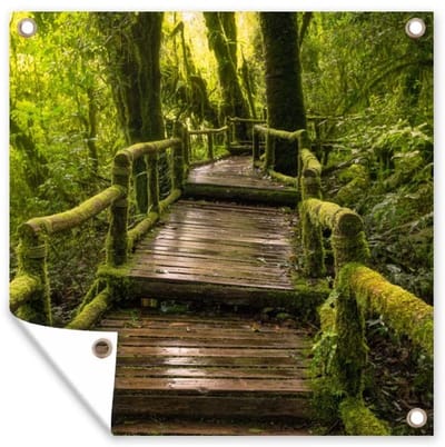 Dailygoods- Tuinposter 50x50 cm - Mooi Regenwoud/Jungle - Tuindoek voor Buiten - UV-bestendig - Extra Stevige Ringen - Eenvoudige Bevestiging