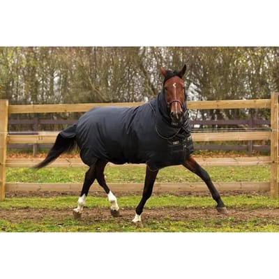 Outdoor paardendeken Horseware Trot Turnout Hvy