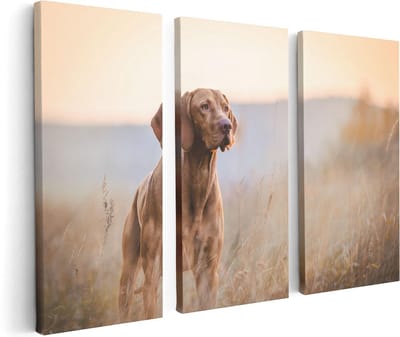 Artaza Canvas Schilderij Drieluik Hongaarse Vizsla Hond In Het Gras - 120x80 - Foto Op Canvas - Canvas Print