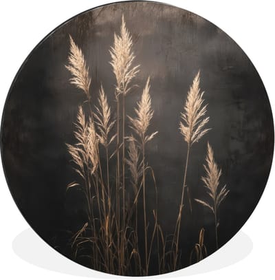 WallCircle - Wandcirkel - Muurcirkel - Siergras - Pluimen - Verlichting - Zwart - Aluminium - Dibond - 30x30 cm - Binnen en Buiten