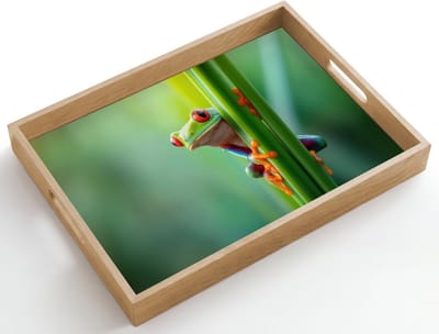 Dienblad hout 50x35 cm - Schootdienblad - Groene kikker - Nieuwsgierig - Gras - Borrelplank rechthoek - Plateau dienbladen
