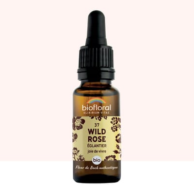 Biofloral- 37 - Wild rose - Hondsroos - Bio - Bio Demeter - 20 ml
