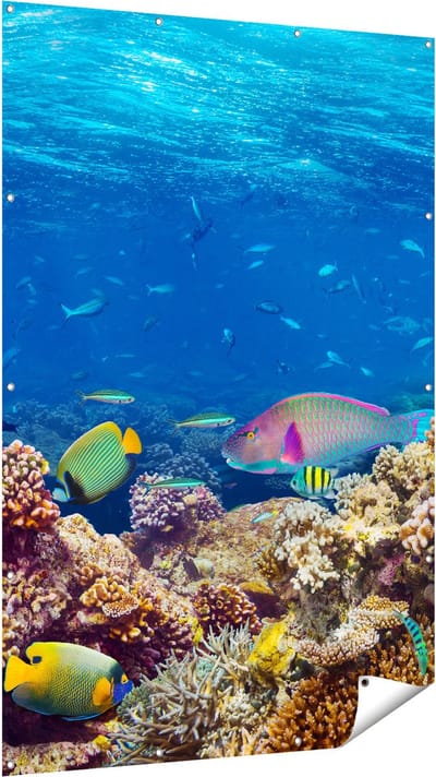 Gards Tuinposter Vissen met Koraalrif in de Oceaan - 120x180 cm - Tuindoek - Tuindecoratie - Wanddecoratie buiten - Tuinschilderij