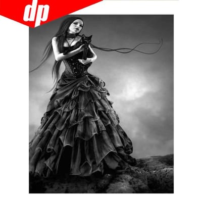 5D DIY Diamond schilderij meisje kat Diamond borduurwerk 3D kruissteek handwerken 20X30 gray