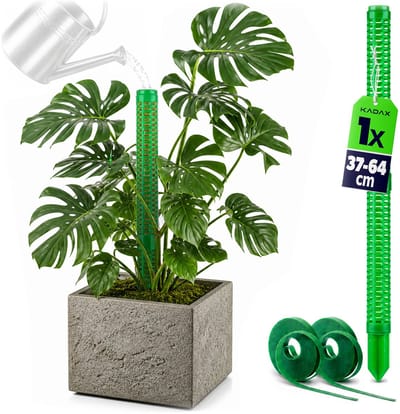 KADAX mosstok 29 cm met giethulp, klimsteun voor klimplanten, plantenstok om te vullen met mos, klimstok met klittenband voor Monstera, plantensteun van kunststof