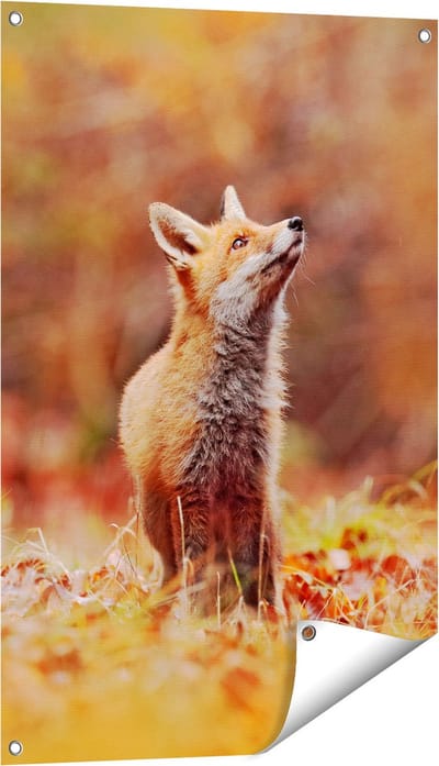 Gards Tuinposter Vos in het Bos tussen de Bladeren - 60x90 cm - Tuindoek - Tuindecoratie - Wanddecoratie buiten - Tuinschilderij