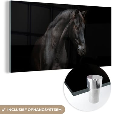 MuchoWow® Glasschilderij 40x20 cm - Schilderij acrylglas - Paard - Dier - Zwart - Foto op glas - Schilderijen