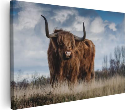 Artaza Canvas Schilderij Hooglander - 30x20 cm - Klein - Muurdecoratie Gewei - Wanddecoratie Woonkamer - Kamer Accessoires