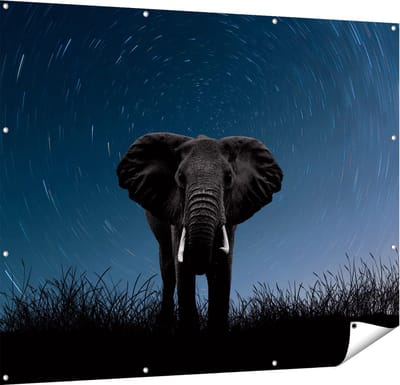 Gards Tuinposter Olifant Omringd met Sterren - 150x120 cm - Tuindoek - Tuindecoratie - Wanddecoratie buiten - Tuinschilderij