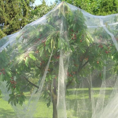 Dailygoods- Vogelscherm Tuinbescherming - Plantenbeschermingsnet - Barrièrezakken - Trekkoord - 2 Stukken - PE Materiaal - 1,5 x 1 m - Plantennet