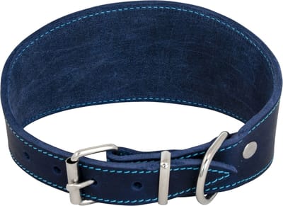 Jack And Vanilla - Halsbanden - Jv Vetleder Windhondhalsband Blauw-42cm 45/4612 - 229051