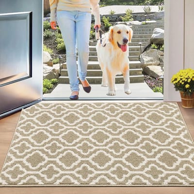 Goodivery ® Decoratieve Deurmat voor Binnen en Buiten met Antislip en Wasbaar Ontwerp, Beige, 80 x 120 cm