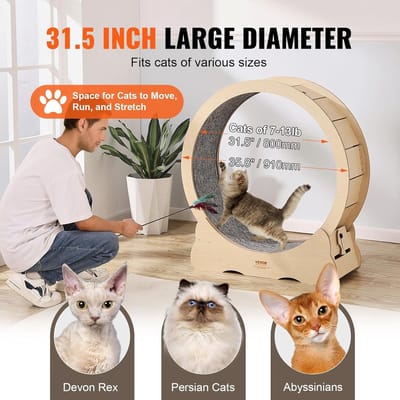 Katten Loopwiel - Huisdier wiel - Bewegen en Spelen - Stil en Veilig - 91 cm - Houtkleur