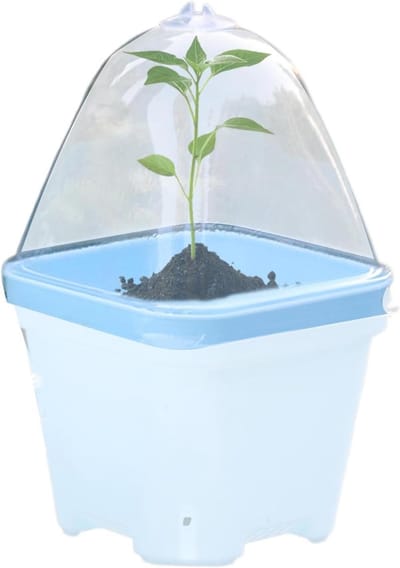 Vochtigheidskoepels Planten - Plantenkappen Kas - Planten Beschermen - Verstelbare Ventilatie - 10 Stuks - Transparant