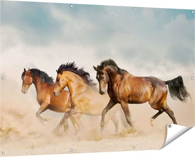 Gards Tuinposter Drie Bruine Paarden - 150x100 cm - Tuindoek - Tuindecoratie - Wanddecoratie buiten - Tuinschilderij