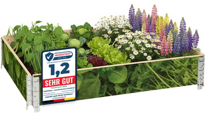 Garronda Kweekbak Palletrand Met Print – Natuurlijk - Bloemen - Kruiden - Palletframe - Natuurlijke Verhoogde Bloembedden – 120x80 cm – Blad-1 - GD-BUD-PAL-SET