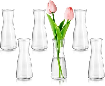 Famanu – Mini glazen vaasjes set van 6, modern en minimalistisch design, geschikt voor bloemen en tafeldecoratie in woonkamer en eetkamer