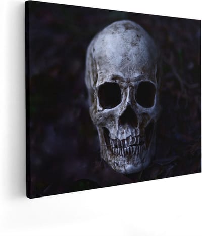 Artaza Canvas Schilderij Schedel - 50x40 cm - Wanddecoratie Dierenkop - Muurdecoratie Stilleven - Kamer Accessoires