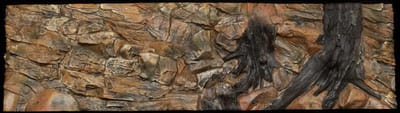 CeramicNature Root achterwand aquarium terrarium 3D polyester mineraalhars 200×60 2 delen