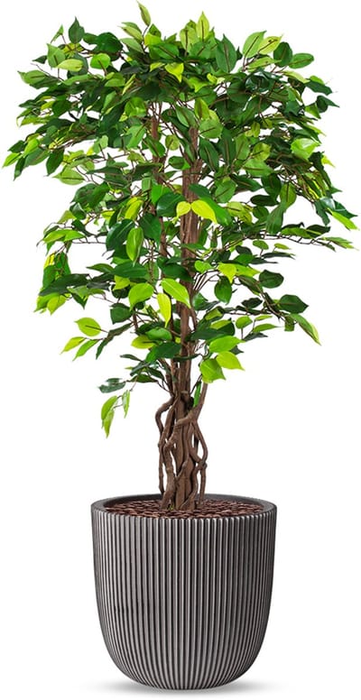 Kunstplant Ficus in Planter Ball groove antraciet H140 cm