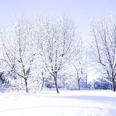 Geurolie - Verse Sneeuw - 100 ml