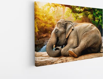 Saammp Canvas Schilderij - Olifan op steen - Afrika - Dieren - 45x30 - Foto op canvas - Wanddecoratie - muurdecoratie Woonkamer - Slaapkamer decoratie - Canvas Print