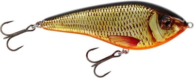 Vis Aas - Roofvis Lure - Vissen op roofvis - Doorlopende draadconstructie - 12cm 53g - Real Rudd