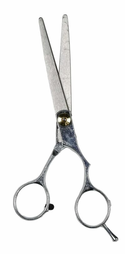 Benson Professionele kappersschaar - RVS 3Cr13 - 15 cm - Ergonomisch ontwerp