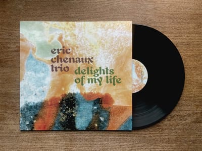 Eric Chenaux Trio - Delights Of My Life (LP)