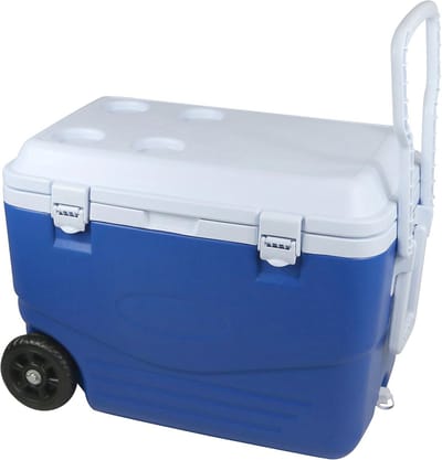 SnelShoppen - Koelbox 46 liter, stijf, blauw/wit, 60,5 x 35,5 x 41,5 cm - Perfect voor camping, picknick, tuinfeest en uitjes