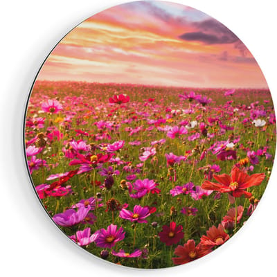 Artaza Dibond Muurcirkel Kleurrijke Kosmos Bloemenveld - Ø 70 cm - Wandcirkel - Rond Schilderij - Voor Binnen en Buiten