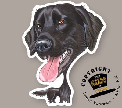 Magneet Hond Flat coated Retriever