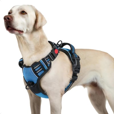 JAXY Hondenharnas - Hondentuig - Hondentuigje Kleine Hond - Y Tuig Hond - Harnas Hond - Anti Trek Tuig Hond - Reflecterend - Maat L - Blauw