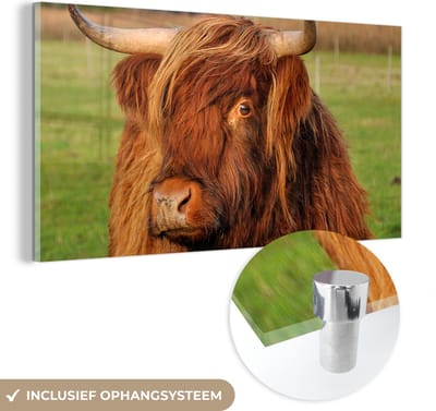 MuchoWow® Glasschilderij 40x20 cm - Schilderij acrylglas - Schotse Hooglander - Gras - Boom - Foto op glas - Schilderijen