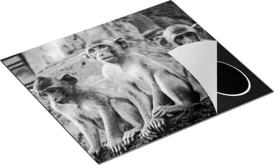 Chefcare Inductie Beschermer Drie Kleine Apen naast Elkaar - Zwart Wit - 60x50 cm - Afdekplaat Inductie - Kookplaat Beschermer - Inductie Mat