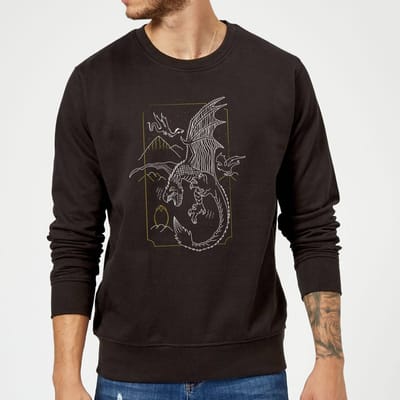 Harry Potter Hungarian Horntail Dragon trui - Zwart - S