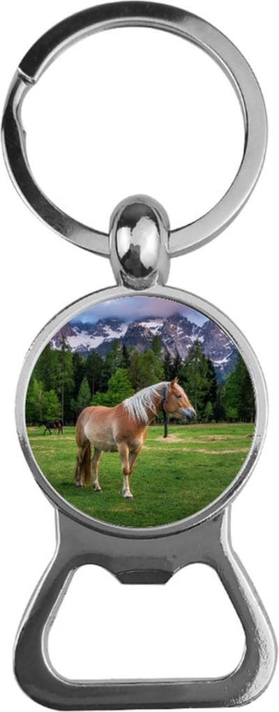 Bieropener Glas - Paard