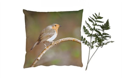 Sierkussens - Kussentjes Woonkamer - 40x40 cm - Roodborstje - Vogel - Natuur