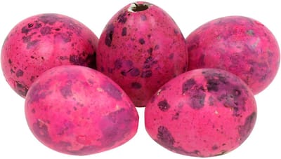 Kwarteleitjes Roze 3,5-4cm Uitgeblazen Eieren Paasdecoratie 50 stuks,