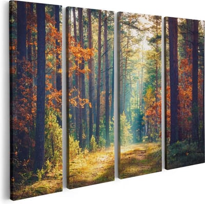 Artaza Canvas Schilderij Vierluik Herfstbos Met Zonneschijn - Kleur - 80x60 - Foto Op Canvas - Canvas Print