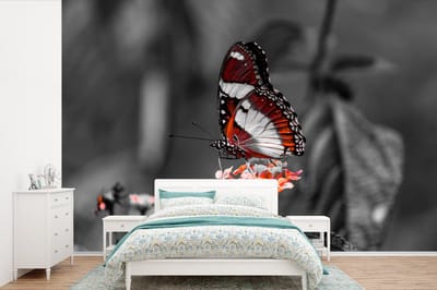 Behang - Fotobehang Vlinder - Dieren - Bloemen - Zwart wit - Oranje - Breedte 450 cm x hoogte 300 cm