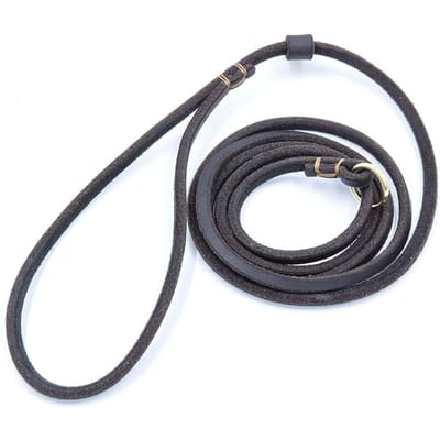 Echt Leer Hond Slipriem Hondentuigje Huisdier Trainingsriem Strikriem Ideaal voor Kleine Honden Katten Geen-Trek Slipriem en Halsband voor Puppy Hoge Kwaliteit L 150cm zwart