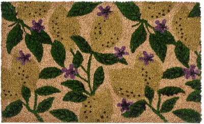 TAZLINA - Deurmat - Meerkleurig - 45 x 75 cm - Kokos