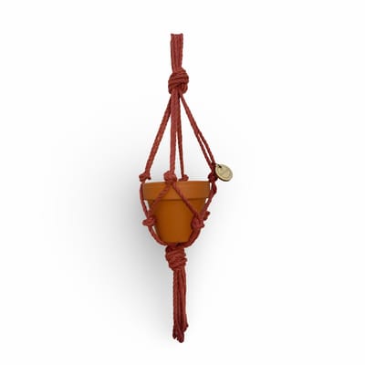 Minimalistische Plantenhanger - Kies kleur en lengte - Rood/Roestbruin - 30 cm lang - Katoenkoord - Geschikt voor Pot met Diameter van c.a. 8 cm - Handgemaakt in ons Macramé Atelier - Prijs per Stuk - Let op: Exclusief Pot - Inclusief Verzendkosten