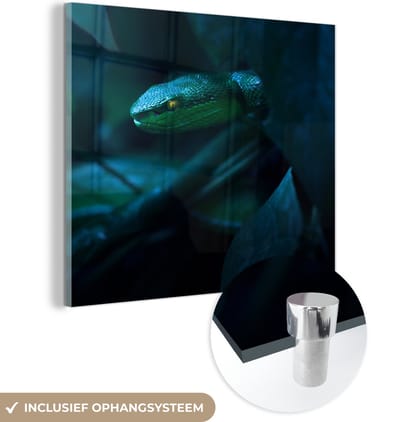 MuchoWow® Glasschilderij 50x50 cm - Schilderij acrylglas - Slang - Macro - Hout - Foto op glas - Schilderijen