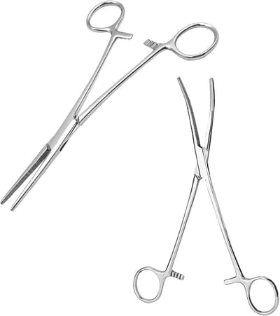 Roestvrijstalen Klem en Haakverwijderingstang - 2 Stuks, 12,5 cm, Met Een Rechte En Gebogen Punt - Ideaal Voor Katten, Honden En Hobby's