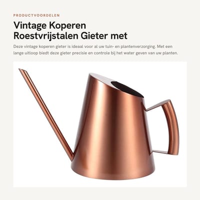 Dailygoods- Gieter Roestvrij Staal - Vintage Antieke Afwerking - 3 Maten - Tuinieren - Plantenverzorging - Lange Uitloop - Tuingieter