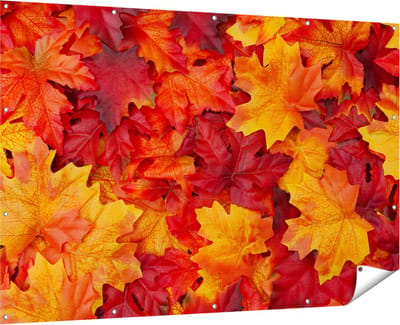 Gards Tuinposter Herfstbladeren in het Oranje en Rood - 180x120 cm - Tuindoek - Tuindecoratie - Wanddecoratie buiten - Tuinschilderij