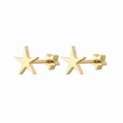 Welovesilver - oorstekers - chirurgisch staal - zee ster design